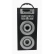 Altavoz Portatil con KARAOKE + Reproductor MP3 SD/USB + Radio